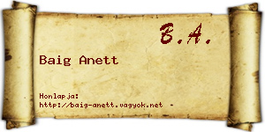 Baig Anett névjegykártya